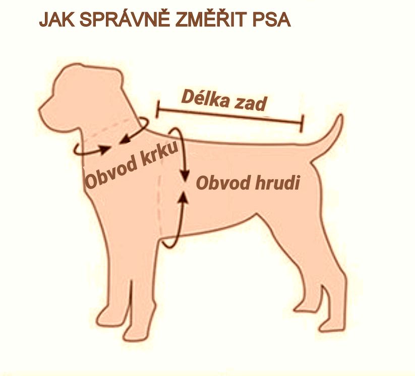 Jak změřit psa selko